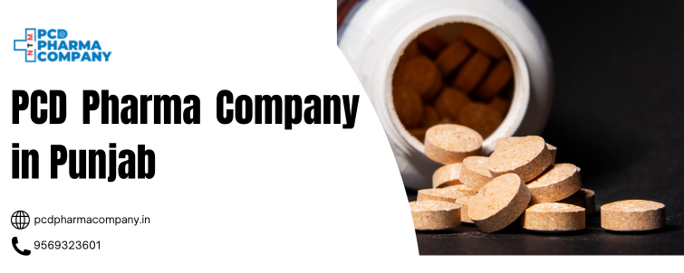 PCD Pharma Company in Punjab